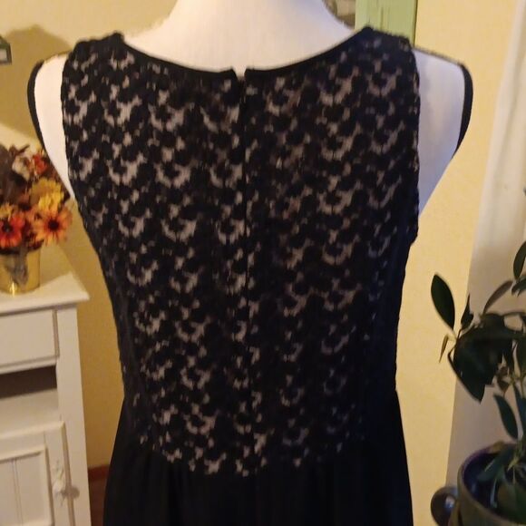 Loft Lace and Chiffon Skirt. Lace. Whimsigoth. Dressy - Picture 8 of 13